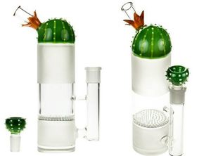 Vintage Unique Cactus Cute with HoneyComb Perc glass bong water hookah Smoking pipe can put customer logo by DHL UPS CNE