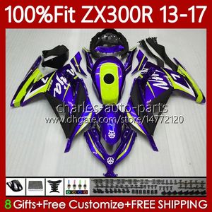 Fairings de OEM para Kawasaki Ninja Ex ZX 3R 300 300R EX-300 ZX300 PUEPE Green 125No.141 ZX-3R ZX-300R ZX3R ZX300R 13 14 15 2016 2017 EX300R 2013 2015 2015 16 17 Corpo de Injeção