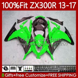 Einspritzverkleidungen für KAWASAKI NINJA ZX-300R ZX3R EX ZX 3R 300R 2013 2014 2015 2016 2017 125Nr