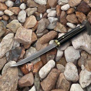 R8303 Small Survival Straight Knife VG10 Damascus Steel Drop Point Blade Ebony with Brass Head Handle Fixed Blades Knives with Wood Sheath