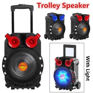 Karaok Player Trolley Speakers High Power Bluetooth Audio Speaker Light Singing TFT Display USB TF Card BT Karaoke KTV System With on Sale