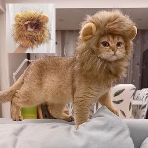 Zabawki dla psów żucie urocza lwa many kota czapka peruka dla psów i kot mały pies cat