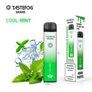 QK Tastefog Grand 4000Puffs Tek Kullanımlık Buharlaştırıcı Kalem OEM 2% NIC Şarj Edilebilir Vape Fabrika Toptan