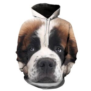 Herrtröjor tröjor söt hund klä upp stil utskrift avslappnad huva tröja herrkvinnor tröja höst vinter pullover h