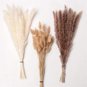 Pampa Decoration Communis Phragmites Pampas Grass Large Bouquet Sechees Bulrush Wedding Arrangement ration Reeds Flower Home 220527