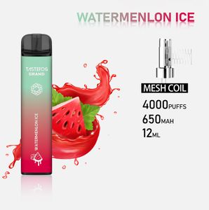 LW 4000 Puffs Tastefog Grand Tek Kullanımlık Eletronik Sigara Vape Kalem