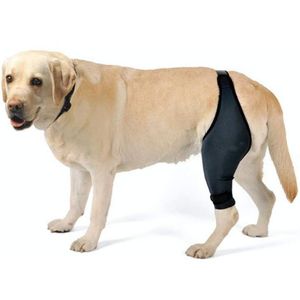 Dog Knee Brace Knee Cap Dislocation Arthritis Keeps The Joint Warm Extra Support Reduces Pain and Inflammation