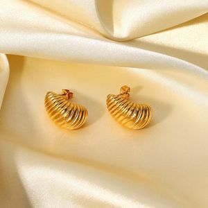 Stud Fashion Spiral Pattern Earring Gold Plated Ladies rostfritt stål Industrial Piercing Hip Hop Jewelry Women Accessories TrendingStud