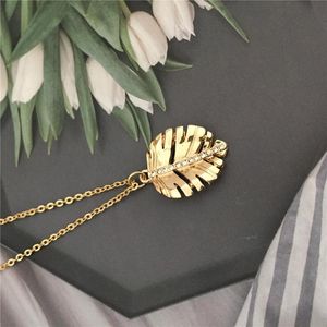 Anhänger Halsketten Schöne Monstera Blatt Zystal in der Mitte Kleine Charm Halskette für Frauen Mädchen Einfache Schmuck Dekoration Hohe QualitätAnhänger