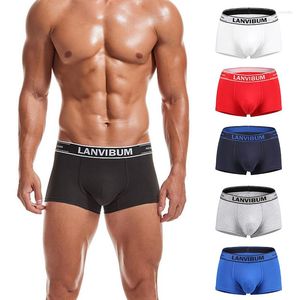 Cuecas Boxers Roupa íntima masculina Algodão Roupa interior confortável Lingerie respirável Moda masculina Cuecas