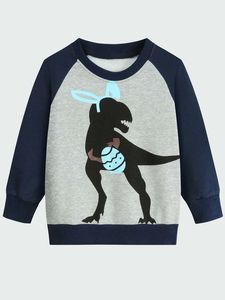 Toddler Boys Dinosaur Print Raglan Sleeve Sweatshirt SHE