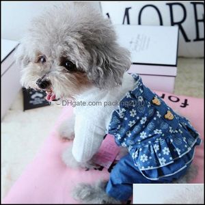 Dog Odzież Materiały Summer Clothe Puppy Small Cat Tutu Dress Princess Spódnica Pet Costume Cute Clotce XL Dresses Drop Dostawa 2021 Home G