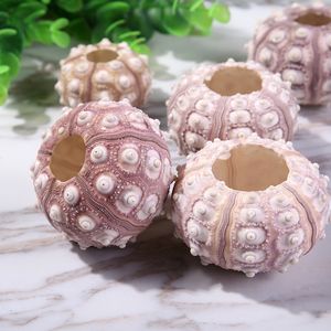 10st Marine Shells Sea Urchins Ornament Crafts Accessories Home Decor Furnishings Crafts Rium Fish Tank Wedding Decoration Y200917