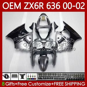 Molde de injeção de OEM para Kawasaki Ninja ZX 636 600cc ZX-600 ZX-6R ZX600 ZX636 Lustroso Prateado 67HC.162 ZX-636 ZX 600 CC 6 R ZX 6R 2000 2001 2002 ZX6R 00 01 02 Fairings Kit