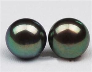 Naturalny AAA 10-11 mm Czarna Tahitian Pearl Earring 14k