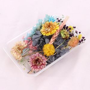 Flores decorativas grinaldas misturadas flores secas coloridas Floral natural para artesanato de artesanato resina Jóias Fazendo Moldado Epóxi F