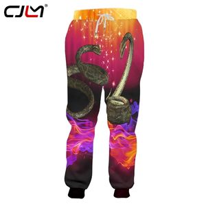 Unisex Hip Hop 3D Impresso Serviço Oringial Starry Flame Snake Personalizado Plus Size Sweatpants Drop 220623