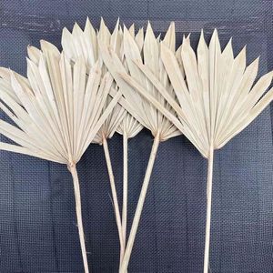 装飾的な花の花輪 / 12-18cm 25-30cm Palmblad Gedroog Dry Natural Palm Leaves Dry Fan Wedding Party Art Wall Hangedorationd