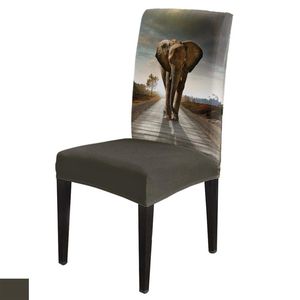 Couvre chaises Africa Elephant Spandex Cover Office Banquet Protecteur Soupchage pour le chair de chambre à manger