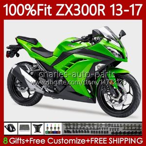 Kawasaki Parlak Yeşil Ninja ZX-300R için Enjeksiyon Perileri ZX3R ZX 3R 300R 2013 2014 2015 2016 2017 125NO.104 ZX-3R EX-300 13-17 ZX300 EX300R ZX300R 13 14 15 16 17 OEM Vücut