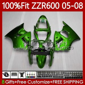 OEM Body Injection Mold For KAWASAKI NINJA ZZR600 ZX ZZR CC Cowling No Fit ZZR CC Glossy green Fairing Kit