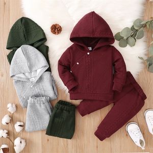 2pcs Baby Clothing Sets Solid Color Snap-up Long-sleeve Kids Pullover Hoodie and Trousers Set 1075 E3