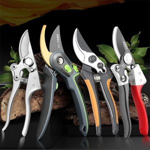 Pruner Pruning Shears Cut Branches ACCESSORI Precision Screwdriver Set Cutter Trees Bonsai BAG Tool Box Trolly Garden 220727