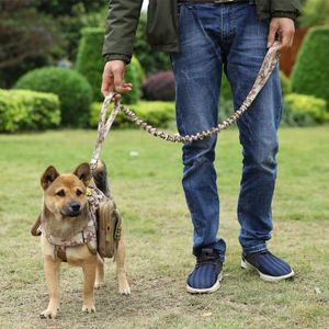 Köpek yakaları Leases Askeri Taktik Bungee tasma 2 sap hızlı serbest bırakma kedi pet elastik naylon yürüyüş kurşun ipi eğitimi leashesdog