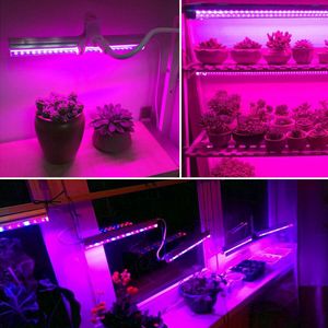 Tubo T5 LED Grow Light Planta Barra de cultivo para barraca interna Phyto Lamp