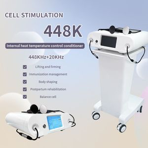 2022 Slimming Machine Portable Tecar 448Khz Physiotherapy RET CET RF Body Pain Rehabilitation Diathermy Equipment