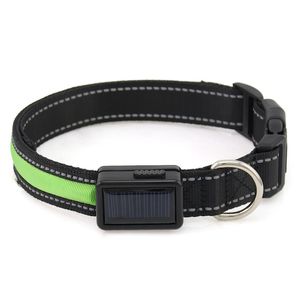 Carga solar e USB Recarregável Collar de Nylon de Nylon para cães Walking 201101