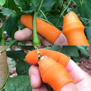 Attrezzi per frutta e verdura da fattoria Picker Pickle Pepper Tip Picker Iron Nail Pick Raccoglitori di uva per giardino Orto e frutteto