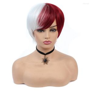 Wholesale my hero academia wigs resale online - Synthetic Wigs Dai Weier My Boku No Hero Academia So Todoroki Shouto Short Sliver White And Red Heat Resistant Cosplay Costume Wig Tobi22