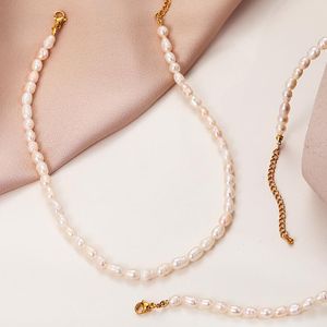 Pendant Necklaces Trendy Pearl Bead Necklace For Women Vintage Freshwater Collares Gold Color Stainless Steel Lobster Clasp ChokerPendant