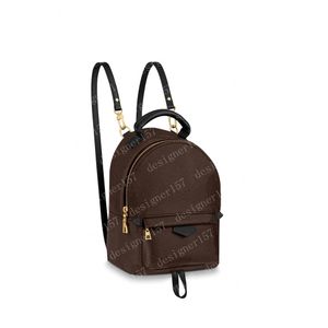 Designer Womens Mini Backpack Women Casual Backpacks Handbag Clutch Totes Bags Crossbody Bag Tote Shoulder Bags Wallets 41562 #SJB01