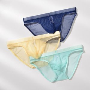 Underpants Sexy Underwear Men Transparent Ultra-thin Panties Mens Breathable See Through Briefs Male Mesh Summer Slip Cuecas