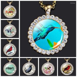 Anhänger Halsketten Kolibri Halskette Kardinal Vogel Kunst Bild Glas Strass Gold Farbe Kette Niedlicher Schmuck für Frauen Männer