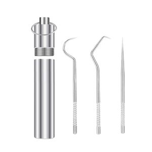 Stainless Steel Toothpick Set Accessories Portable Oral Cleaning Tools Artifact Outdoor Picnic Camp Reusable Household Travel Storage