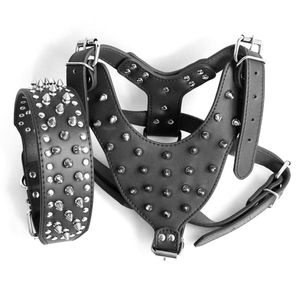 Hundhalsar Leases Collar Traction Rope Set Studded Spiked Leather Harness Terhoal For Pitbull Mastiff Pet Collardog Leashesdog