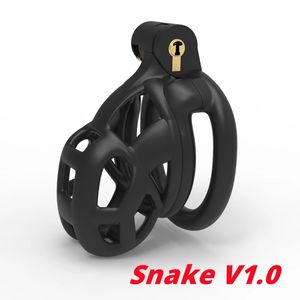 Male Chastity Device Set of 4 CockRings Penis Lock Training Belt Male Slave Sexy Toysdid for Couples