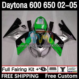 Daytona650 Daytona600 2002-2005 차체 7dh.121 Daytona 650 600 CC 600CC 650CC 02 03 04 05 Daytona 600 2002 2003 2004 2005 2005 ABS 페어링 키트 녹색 실버