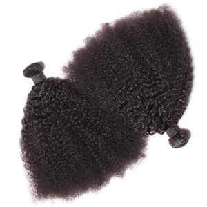 Brasiliansk jungfrulig mänsklig hår afro kinky lockig våg obearbetad remy hår väver dubbel wefts g bunt bundle parti kan färgas bl304z