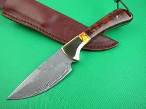 Classic Serpentine Wood Damascus Collection Knife Pocket Camping Hunting Fixed Blade Knife Survival Tool Xmas Gift Knives 01469