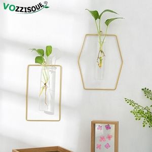 Vaso da fiori in vetro nordico Vaso per orchidee Vasi per piante decorative per interni Vasi per piante idroponiche da appendere a parete Fioriera in ferro oro Y200709