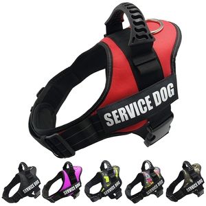 Dog Service K9 Collare riflettente regolabile in nylon per piccoli e grandi animali domestici che camminano e corrono Y200515