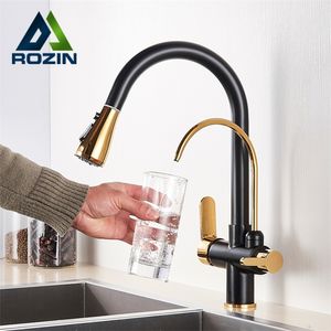 Black and Golden Filtered Crane For Kitchen Pull Out Sprayer drinking water Three Ways Water Filter Tap Kitchen Faucet hot cold T200812