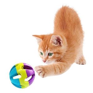 Katt leksaker 1pc boll leksak plast husdjur interaktiv bell dekor med kattunge förnödenheter