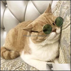 Söt sällskapshund Katt Retro Mode Solglasögon Glasögon Transparent Eye Wear Cosplay Pos Rekvisita Tillbehör Drop Ship Leverans Annat Hem Garde