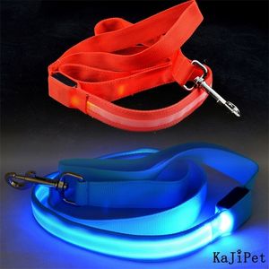 LED Dog Leash Light Luminous Pet Lead för S Cats Nylon Night Safety Flashing Es Small 220610