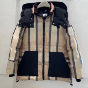 3XL Men Reversible Down Puffer Jacket Hooded Rib Sleeve Designer Nylon Warm Parkas Winter Coat